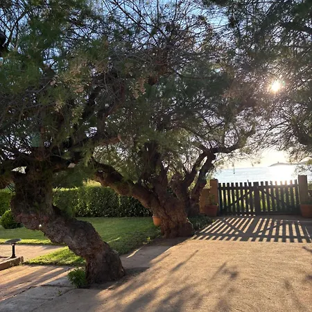 Hotel Thalassa Cargèse