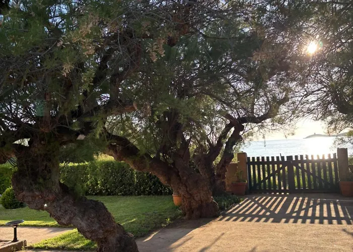 Hotel Thalassa Cargèse